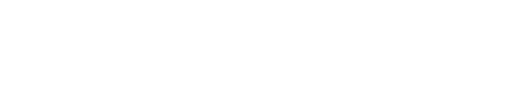 Gruzijos meno ir skonio namai logo